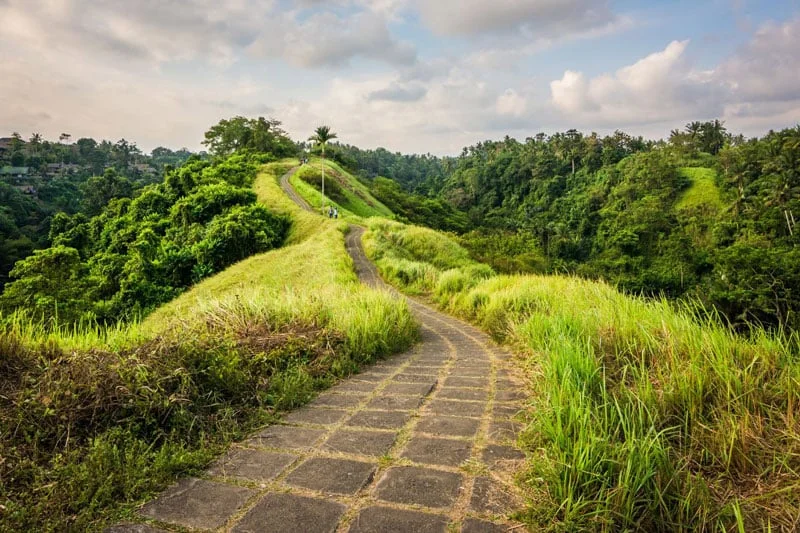 what-to-do-in-ubud-campuhan-ridge