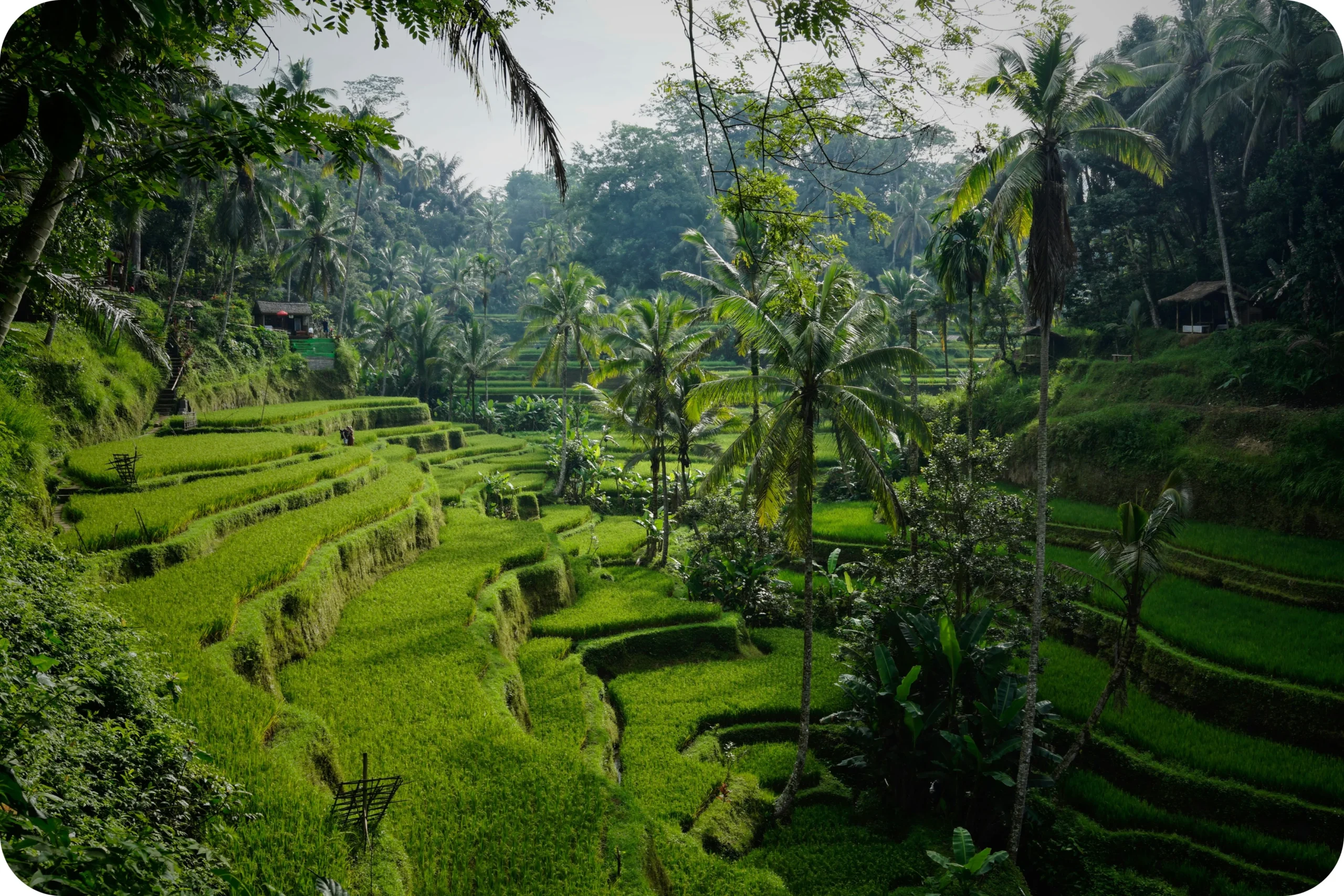 Tegalalang
