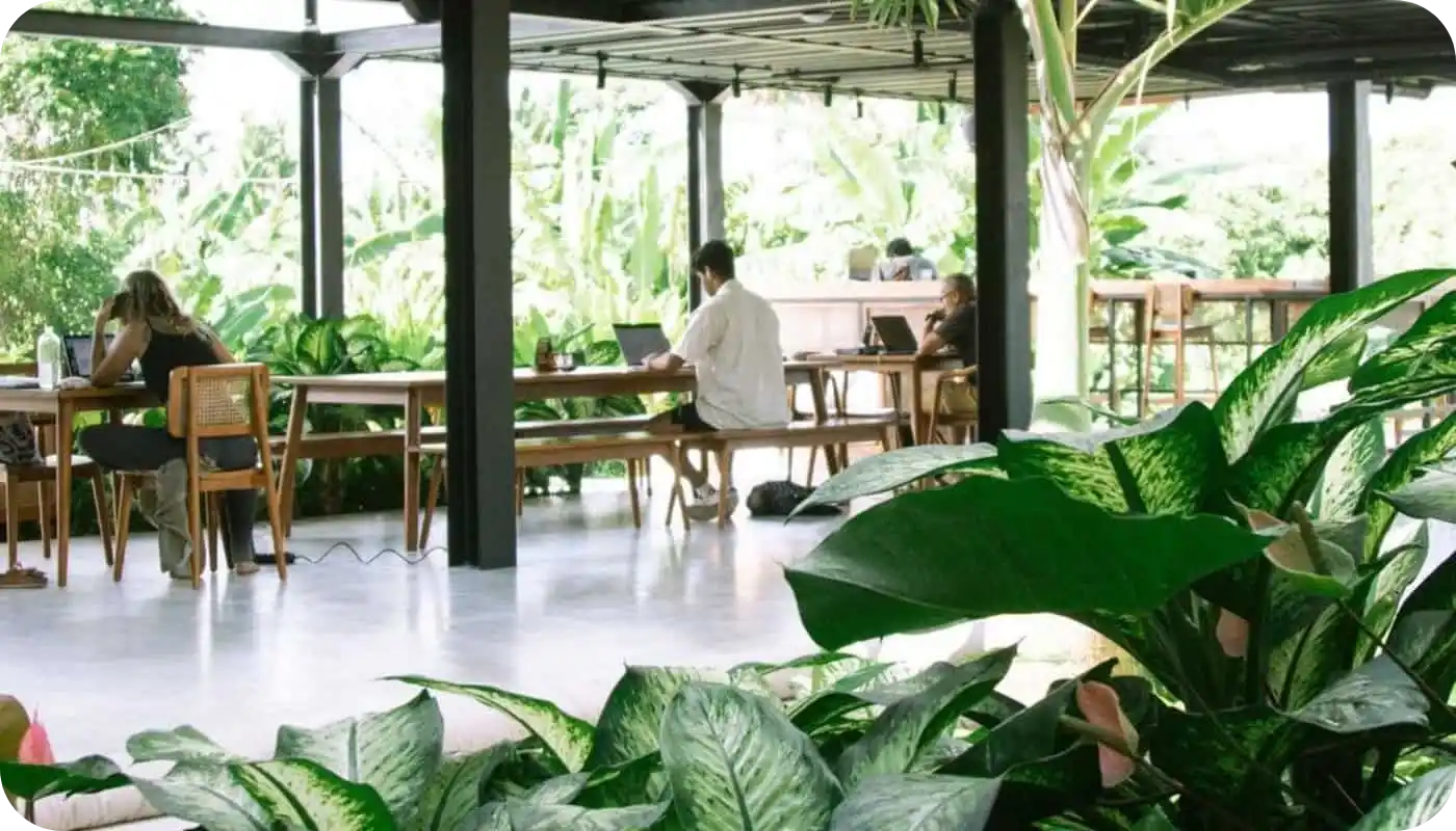 Top 10 Digital Nomad Spots in Canggu 11 TRIBAL