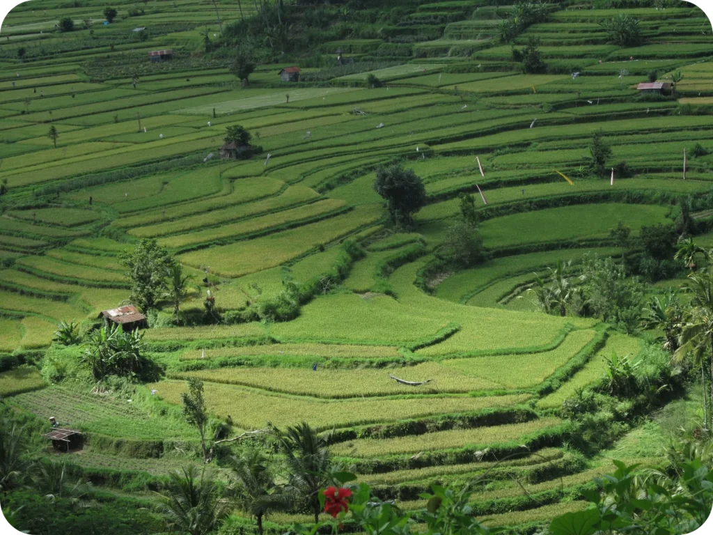 5 Hidden Gems to Explore in Sidemen Valley