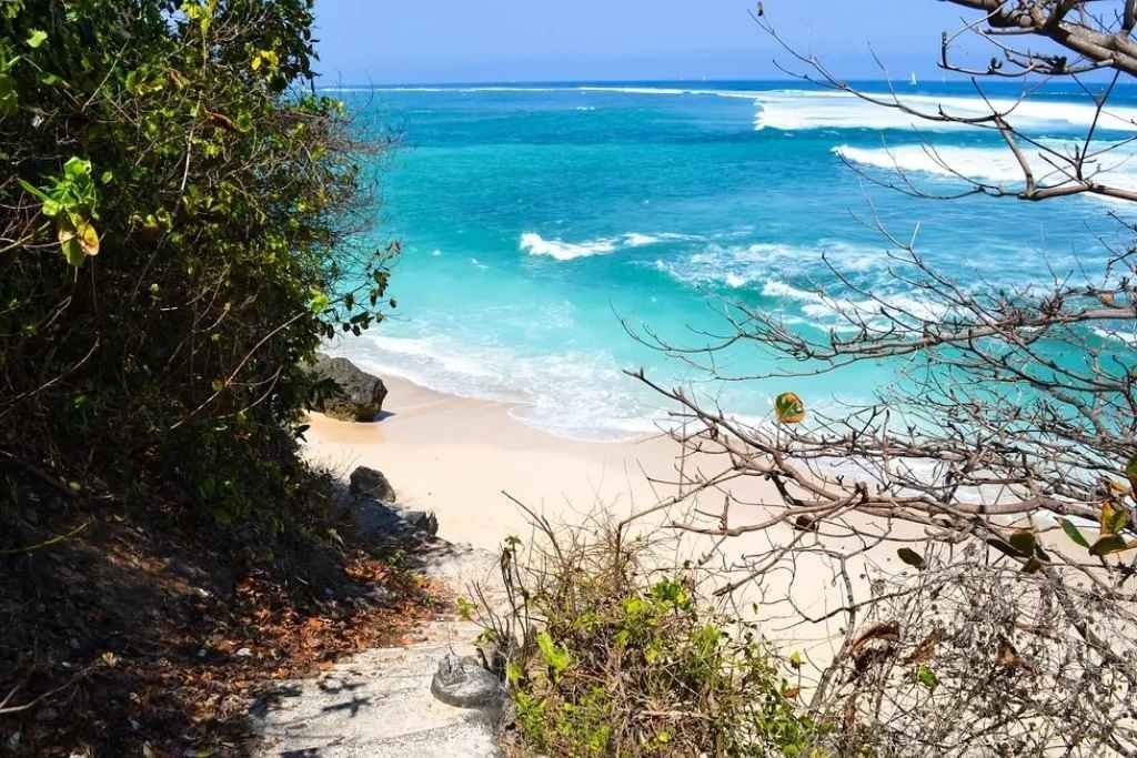 A narrow path framed by tropical foliage leads down to Green Bowl Beach, where turquoise waves lap against soft white sand under a clear blue sky.