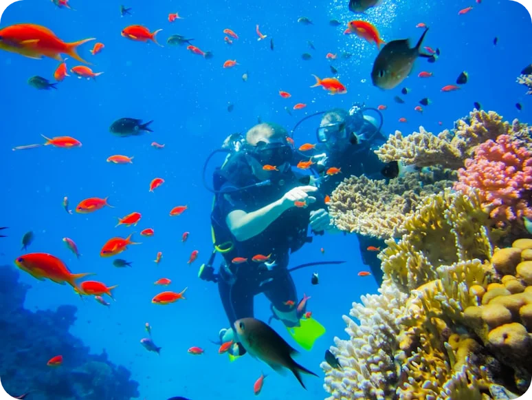 Diving