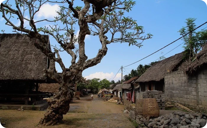 Tumbu Village