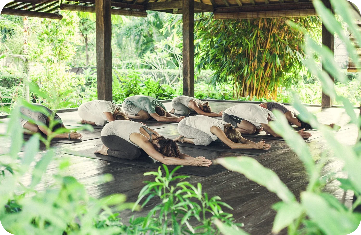6 Best Yoga Retreats in Bali for Wellness 11 damai