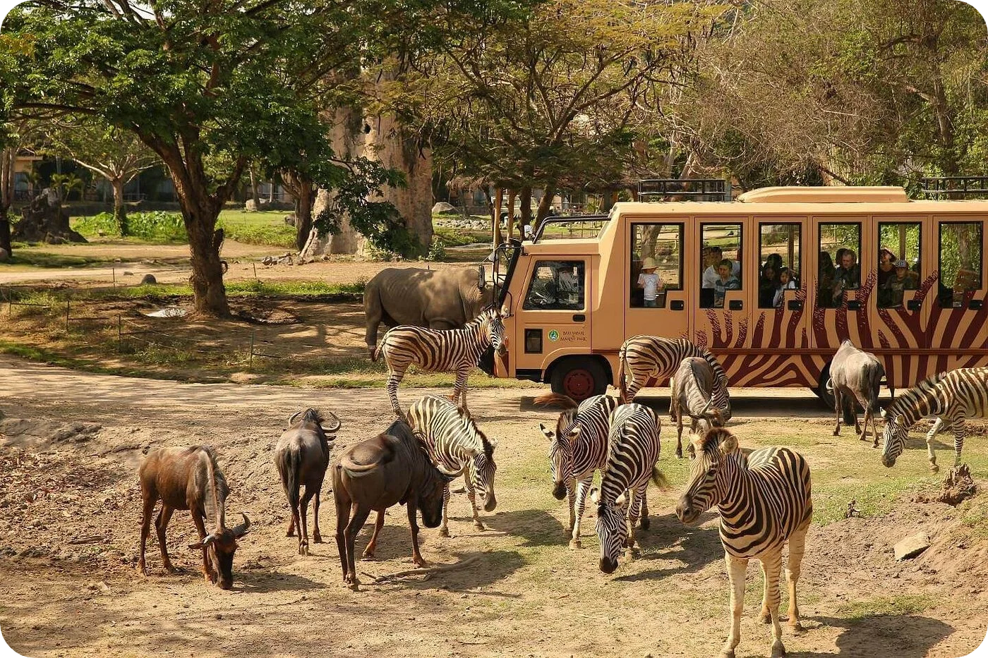 12 Family-Friendly Attractions in Bali 11 Bali Safari and Marine Park (Gianyar)