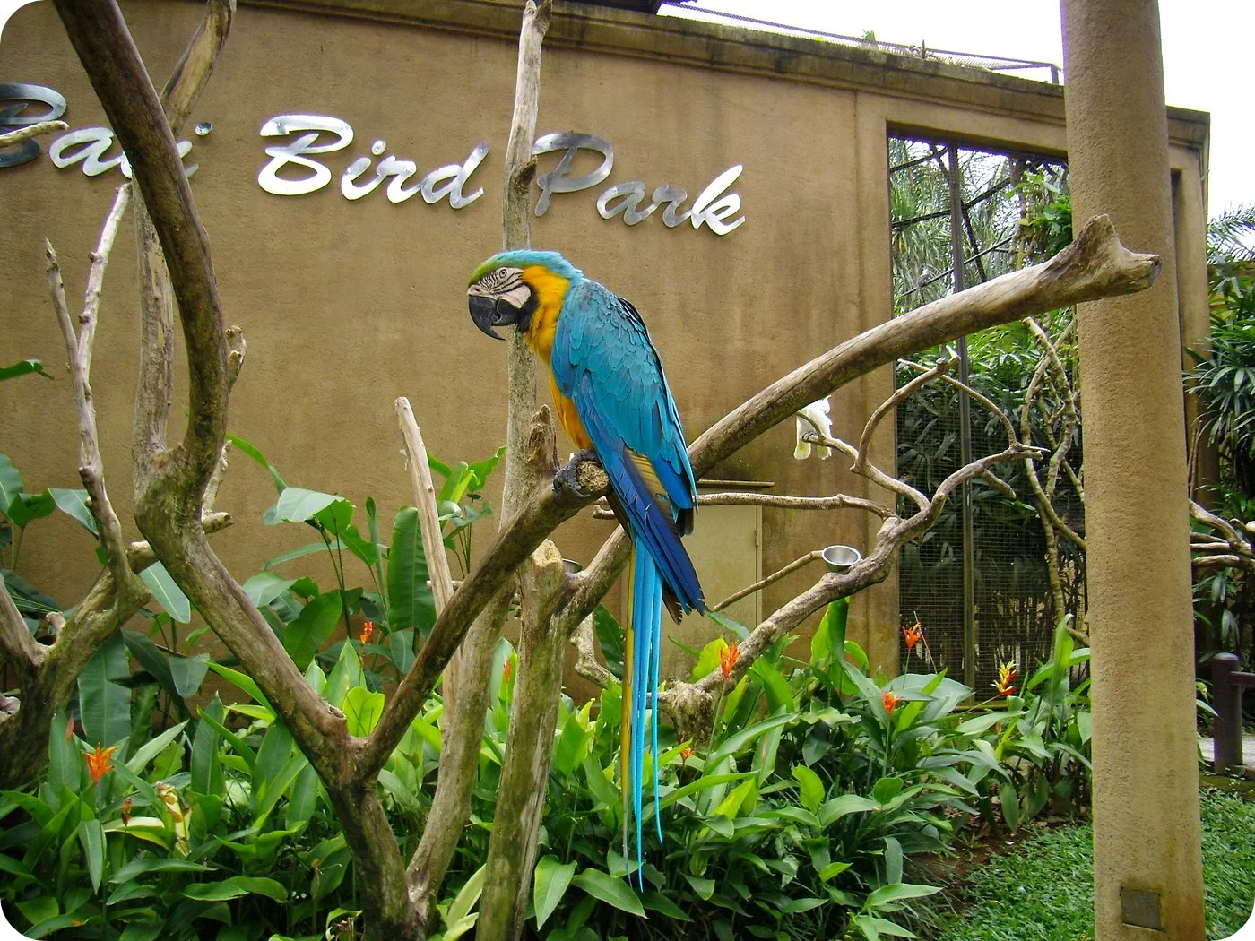 bird park