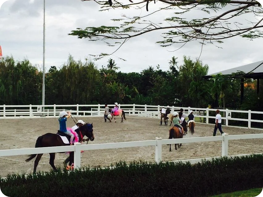 12 Family-Friendly Attractions in Bali 15 equestrian