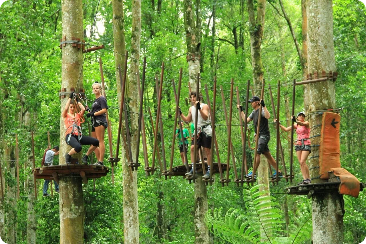 12 Family-Friendly Attractions in Bali 16 Bali Treetop Adventure Park (Bedugul)