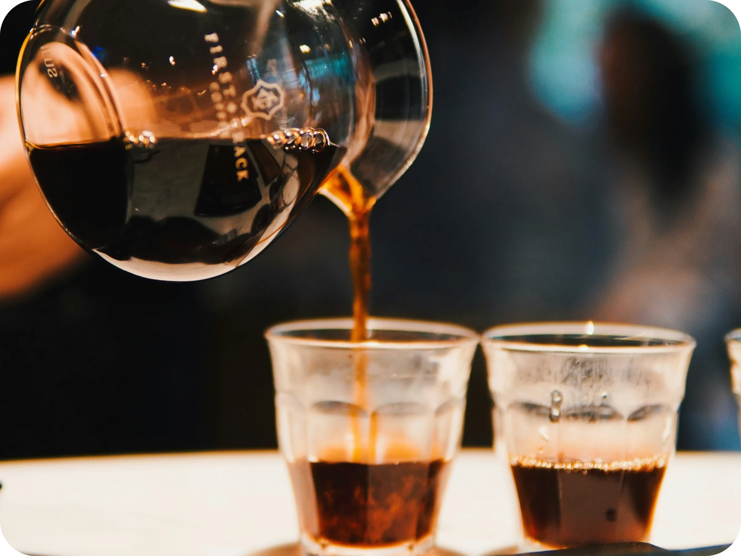 10 Best Bali Coffee Shops and Cafes 14 luwak