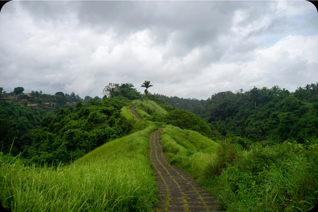 3. Campuhan Ridge Walk