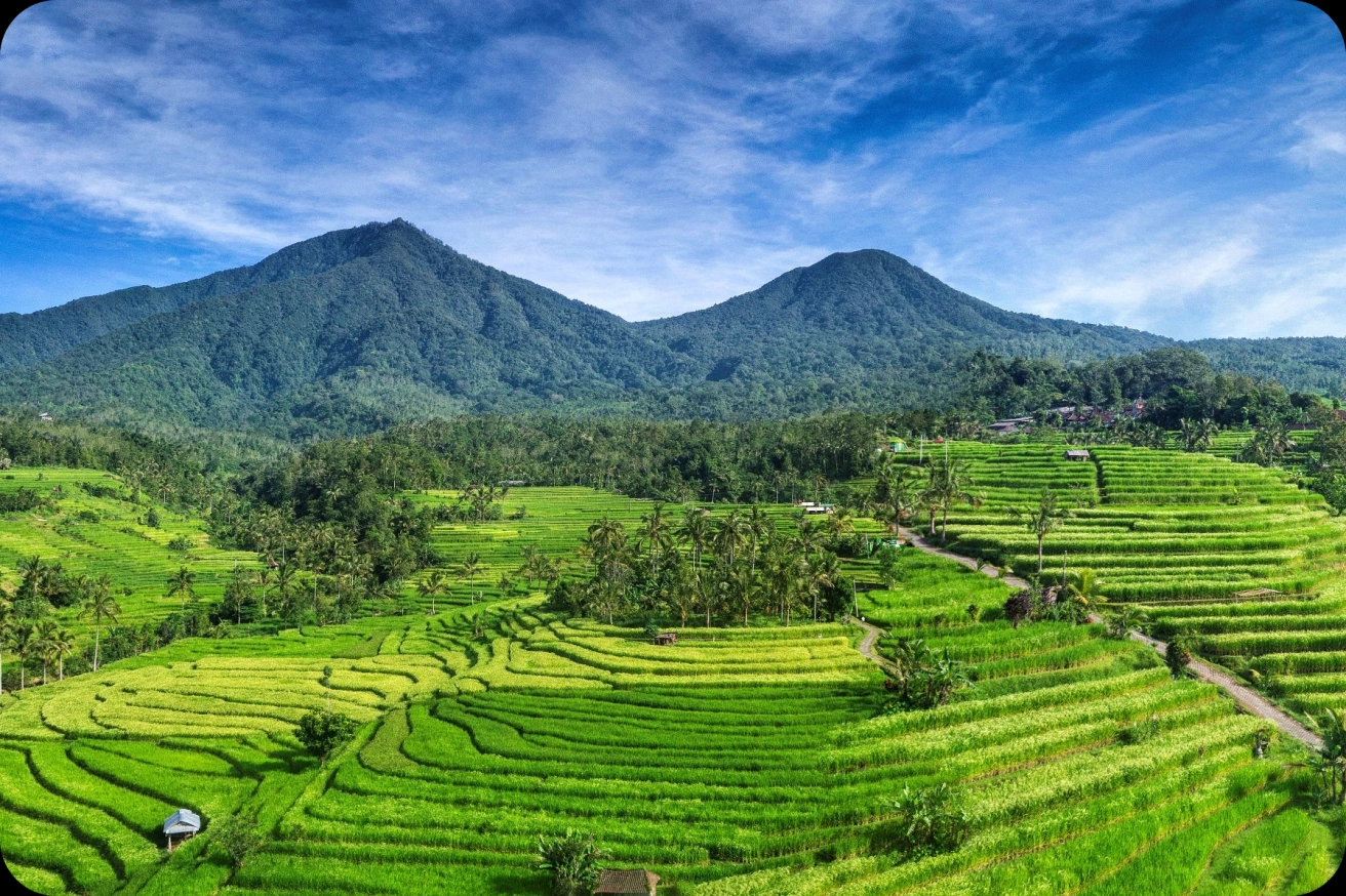 Jatiluwih Rice Terraces