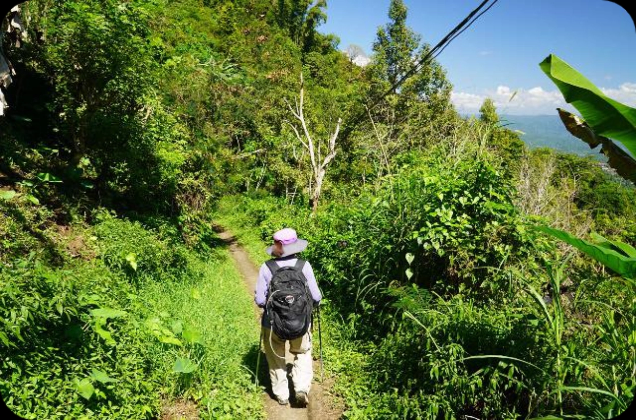 Red Coral Waterfall Trail Bali