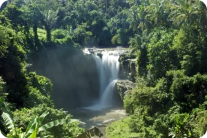 Waterfalls in Ubud, Bali