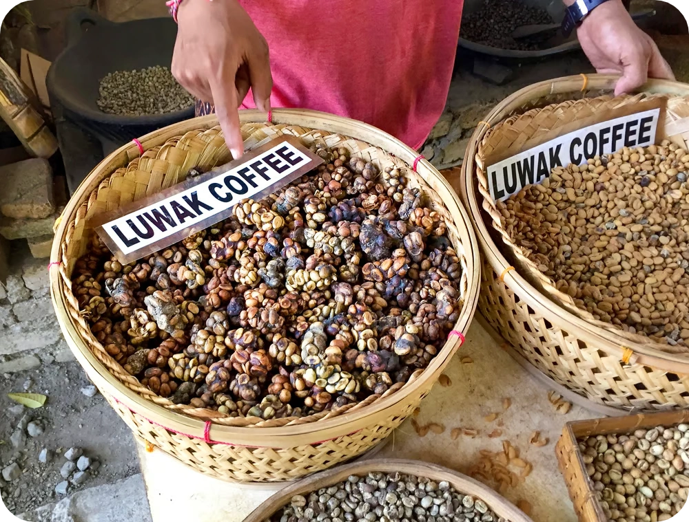 10 Best Bali Souvenirs to Take Home 9 coffee Bali