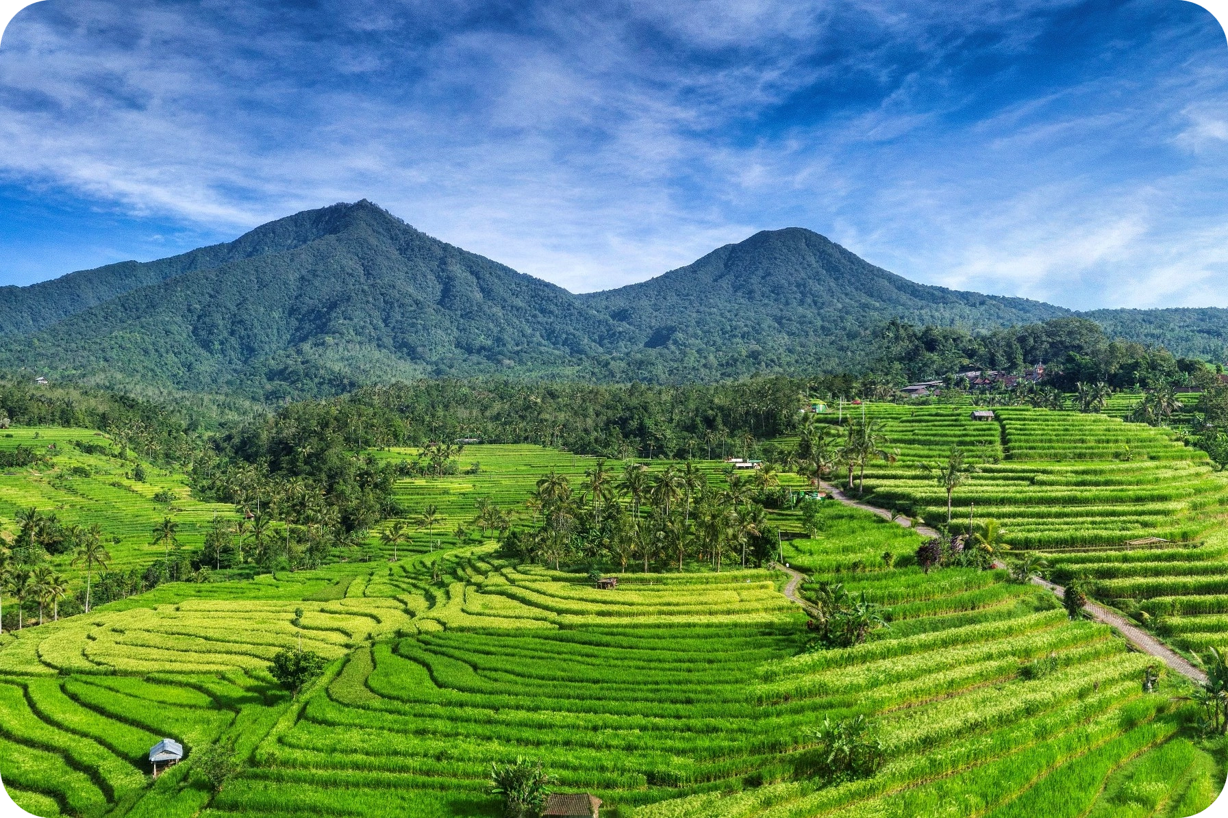 Jatiluwih