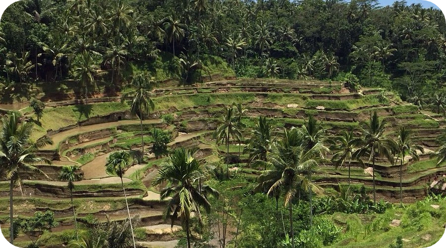 kekeran