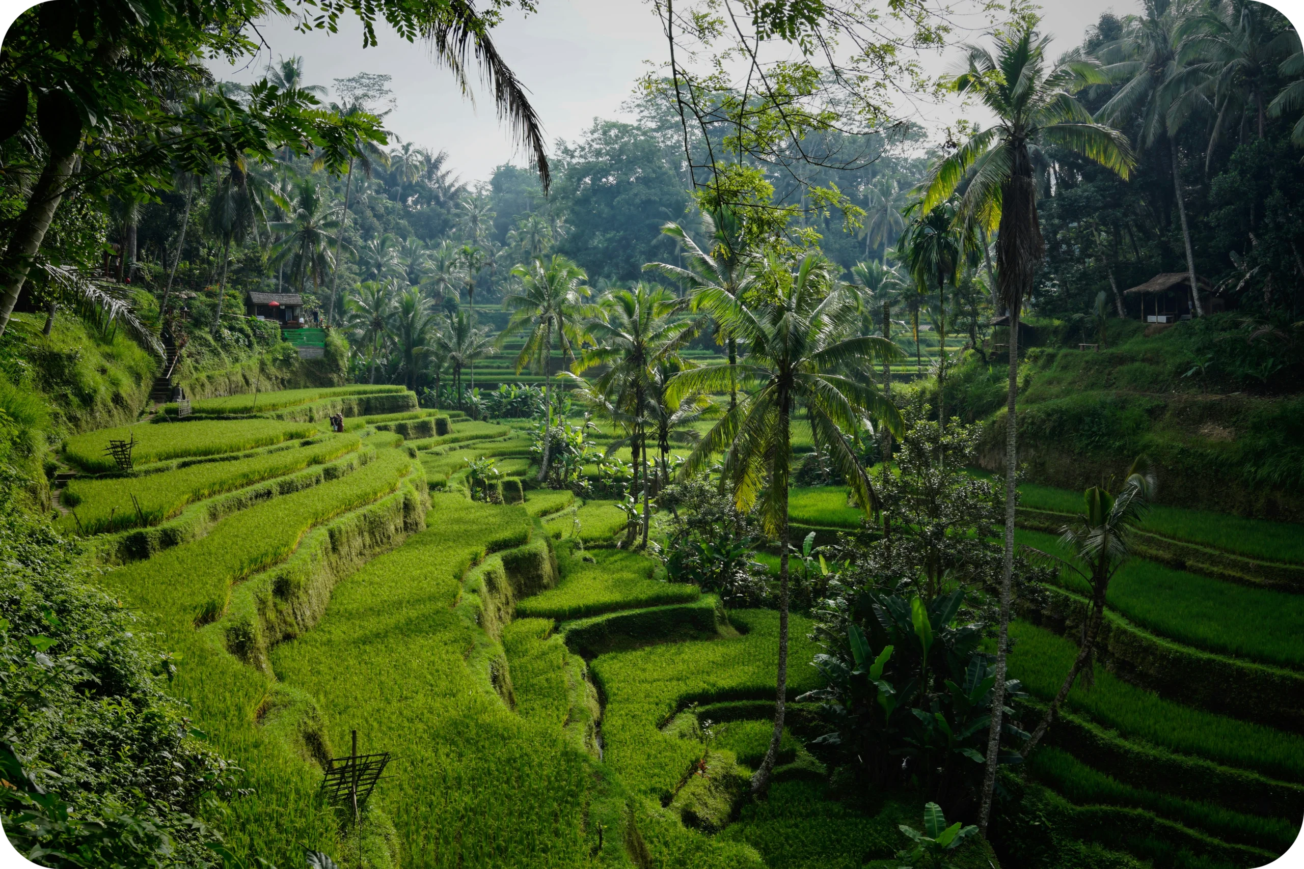 tegalalang