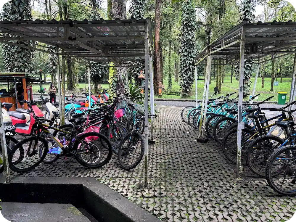 bicycle