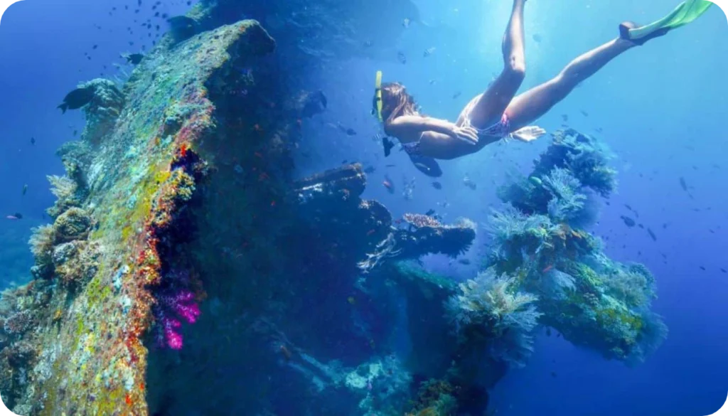 Best Snorkeling and Diving Spots