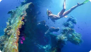 Best Snorkeling and Diving Spots