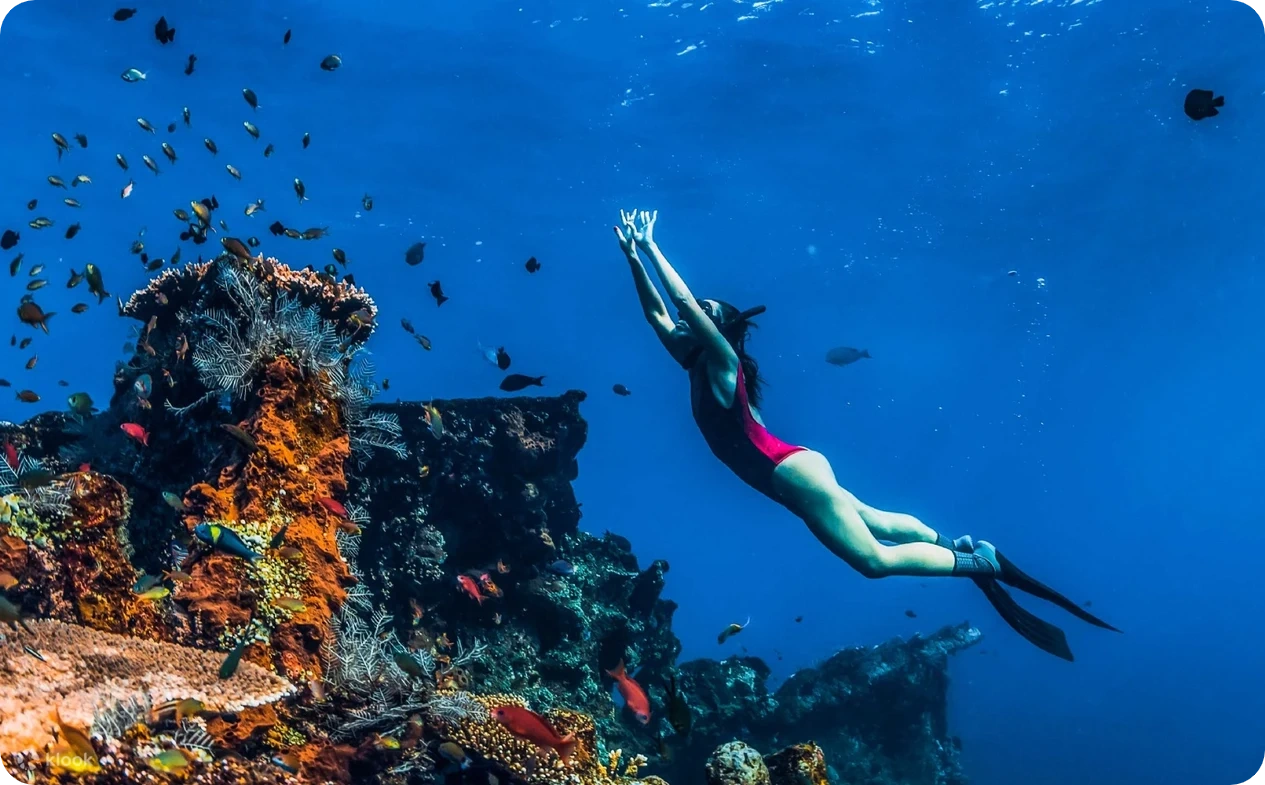 japanese shipwreck