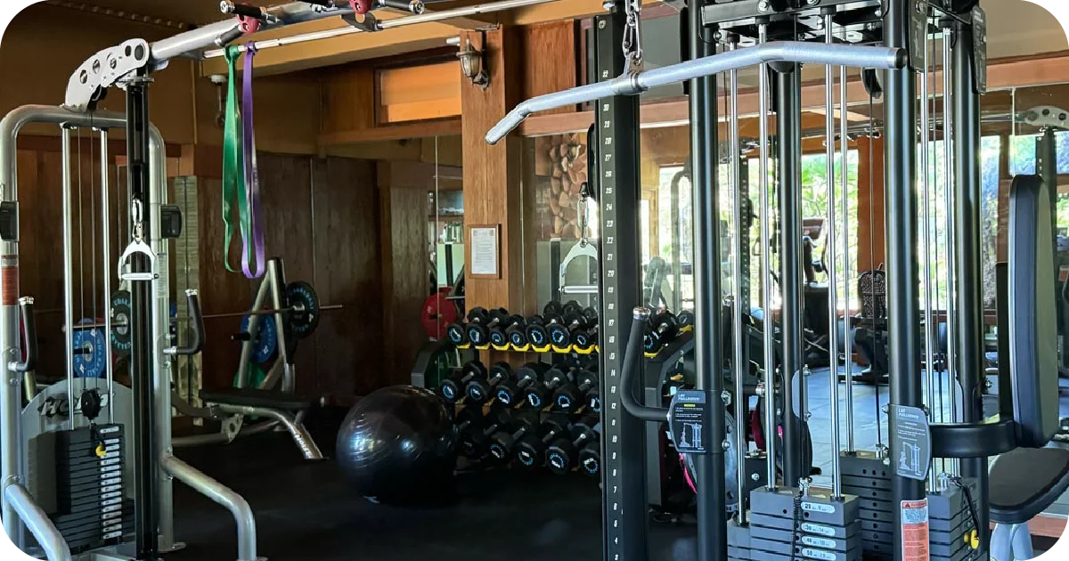 Equipment & Training Options