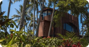Modern wooden tower framed by palm trees and dense garden