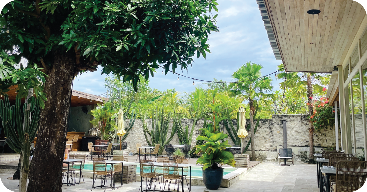 Courtyard bar with plunge pool, string lights, and cacti