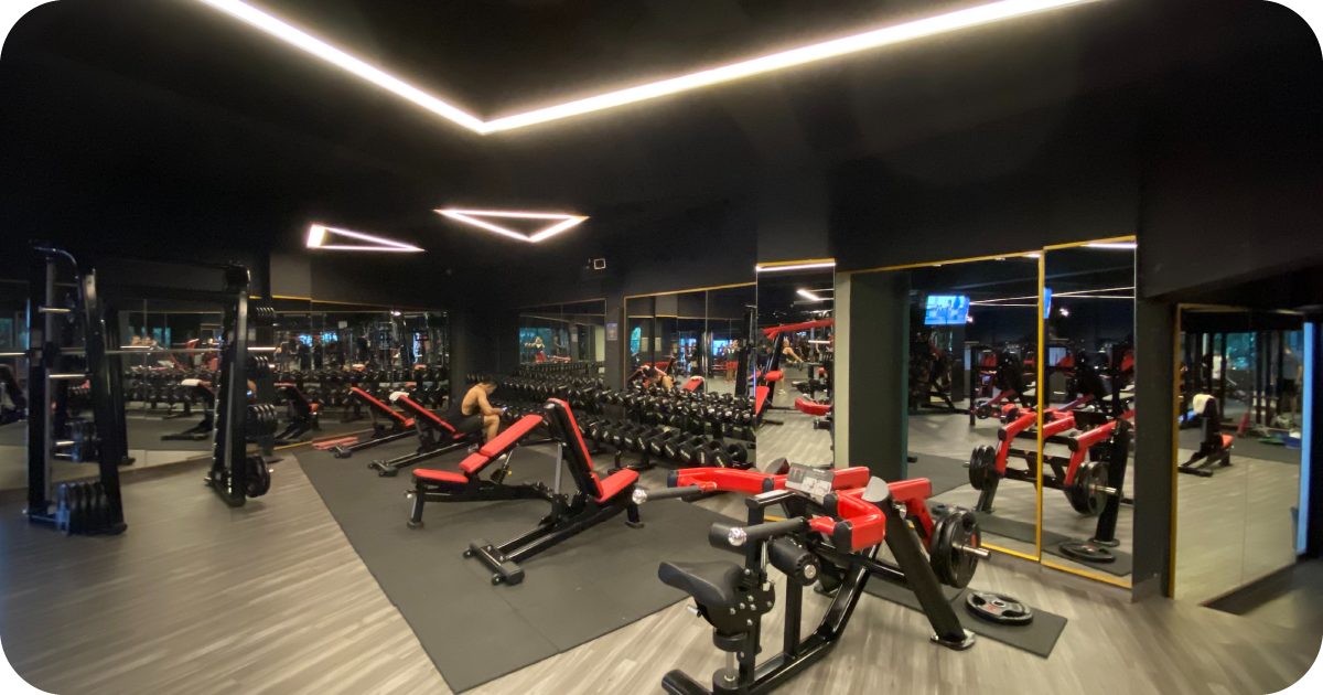 Dumbbell wall with adjustable benches under geometric ceiling lights